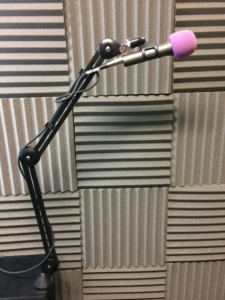 RODE PSA1 Standing